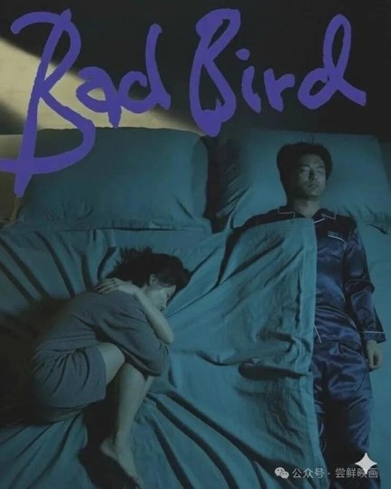 【坏了的鸟】：罕见的华语BIG~ 【观影收藏】