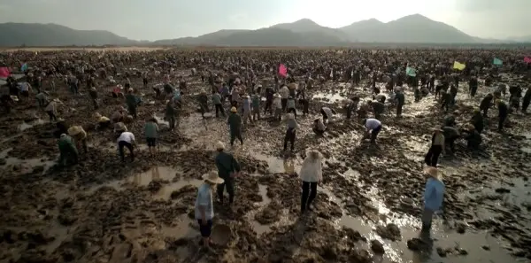 小城大事第40集剧照